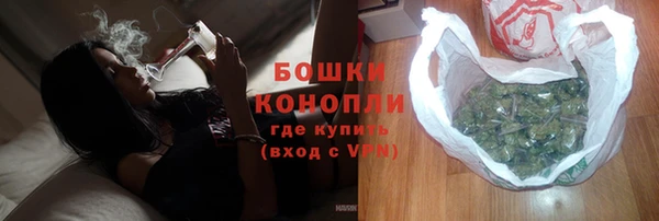 метадон Белокуриха