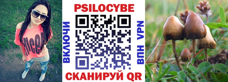 сайты даркнета какой сайт  omg вход  Кингисепп  Псилоцибиновые грибы Psilocybine cubensis 